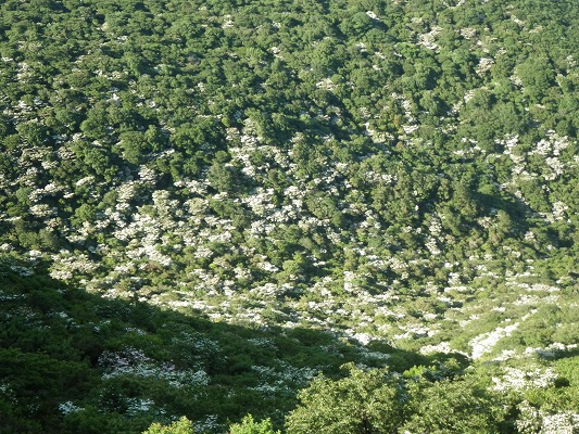 f0187402_9343561.jpg