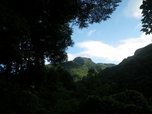 f0187402_9345591.jpg