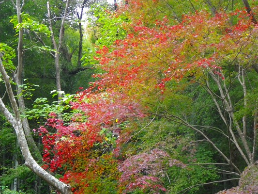 f0187402_935506.jpg