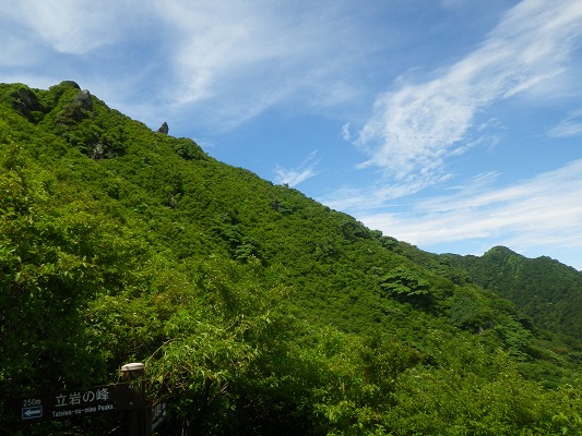 f0187402_935690.jpg