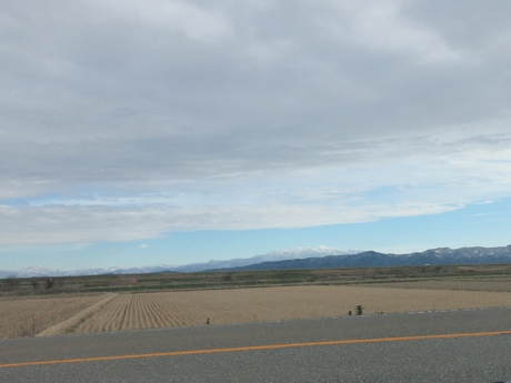 a0203003_2021145.jpg