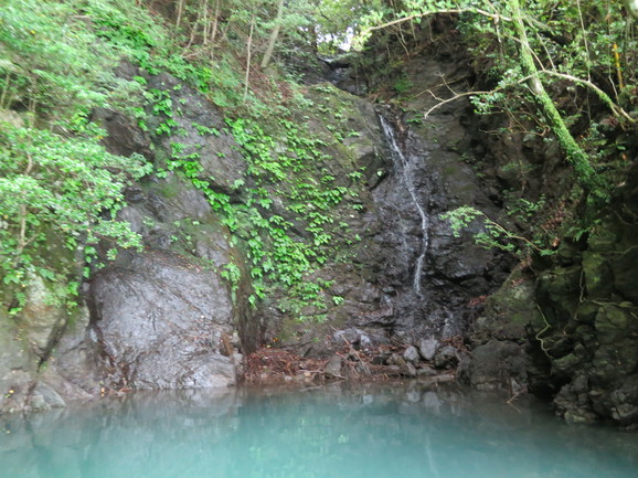 e0167411_163133.jpg