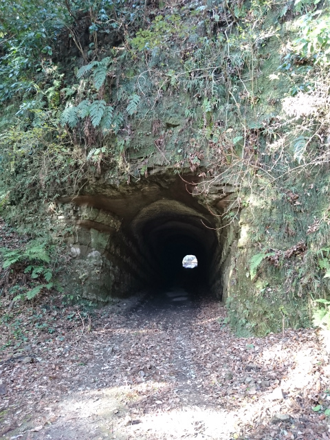 f0100911_20485182.jpg