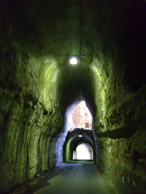 f0100911_20491331.jpg