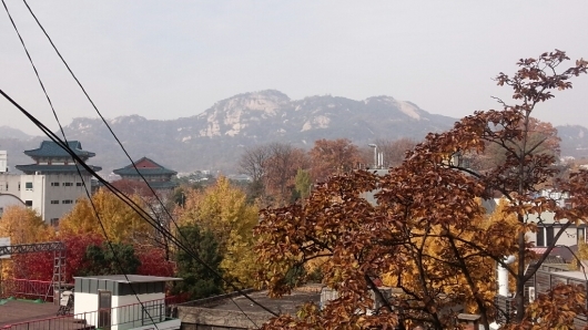 c0173826_23563855.jpg