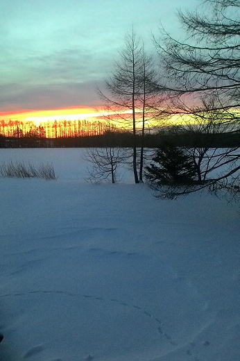 c0188229_14271325.jpg