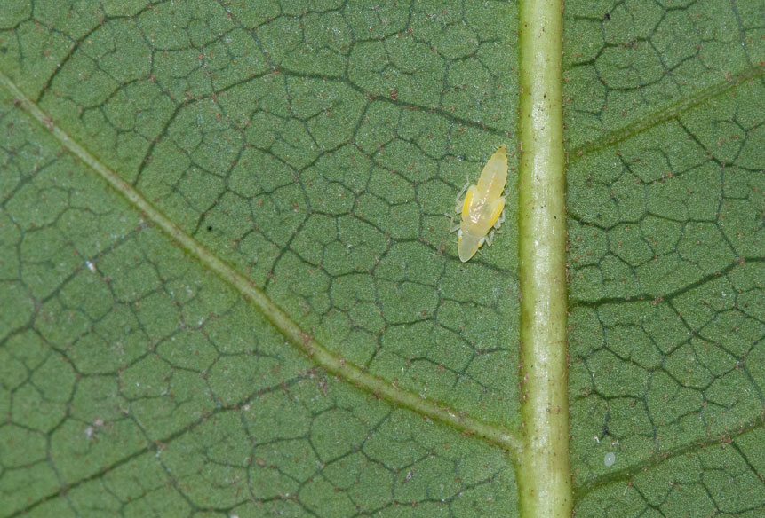 a0126632_2038717.jpg