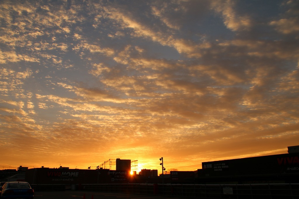 e0052135_12294305.jpg