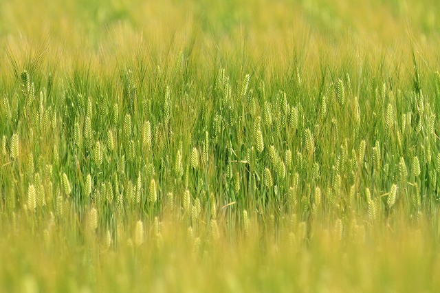 a0242438_19351753.jpg