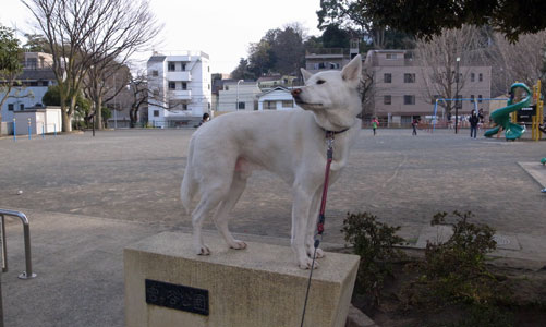 a0117039_1818620.jpg