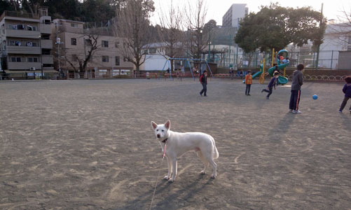 a0117039_1819721.jpg