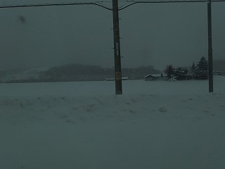 e0004756_20312216.jpg
