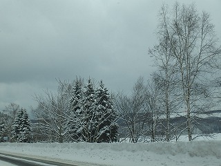 e0004756_20363273.jpg