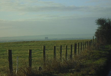 e0010856_373637.jpg
