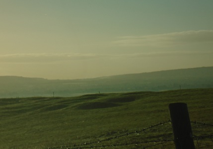 e0010856_384333.jpg