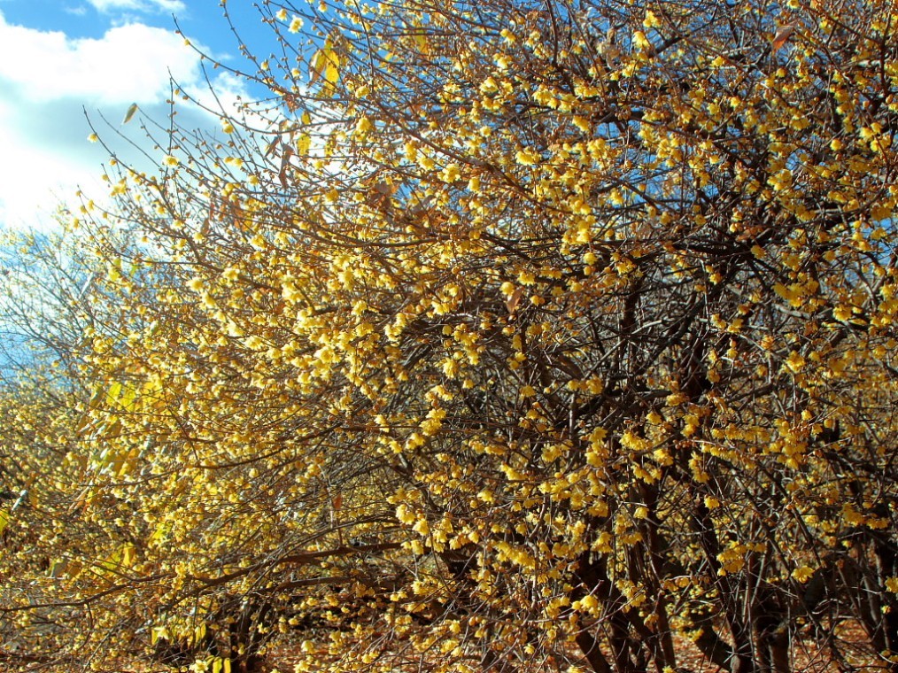 c0305565_17572361.jpg