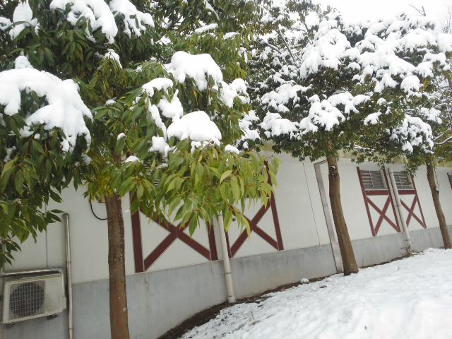 f0061067_18463459.jpg