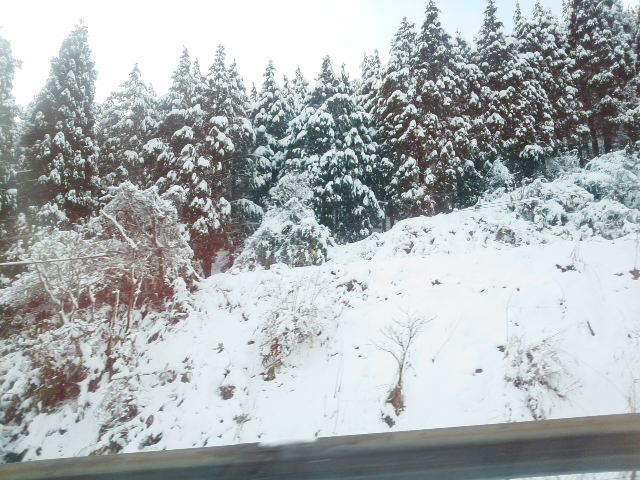 f0061067_18463522.jpg