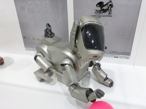 e0045768_1140269.jpg
