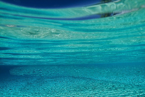 b0141773_21215026.jpg