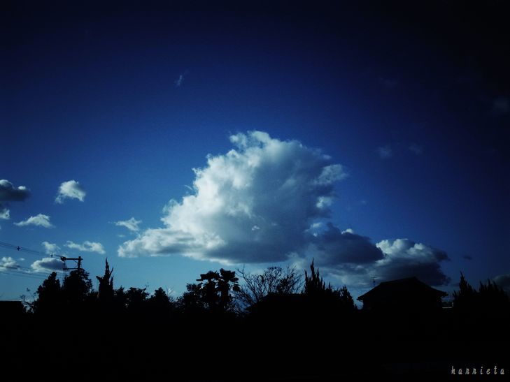 c0152690_22295967.jpg