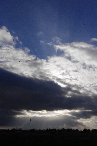 c0337494_16081847.jpg