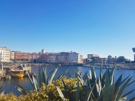c0137300_08143391.jpg