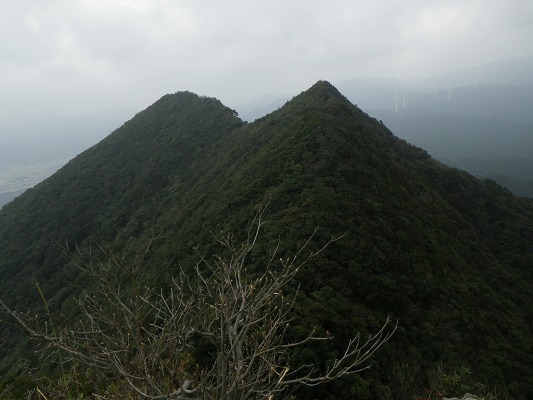 f0187402_20174373.jpg