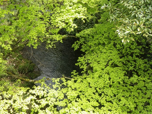 f0187402_20175427.jpg