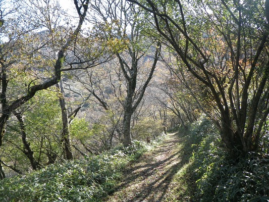 f0187402_20185132.jpg