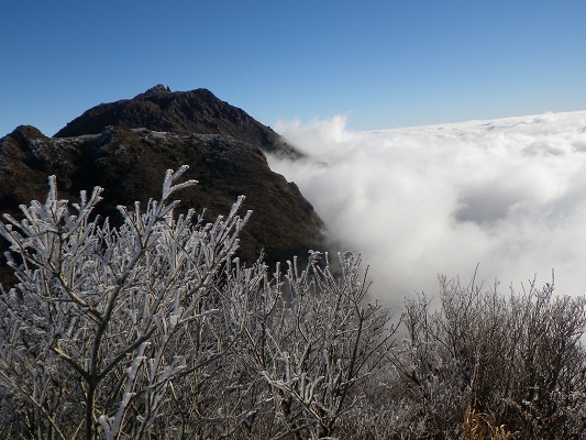 f0187402_2019234.jpg