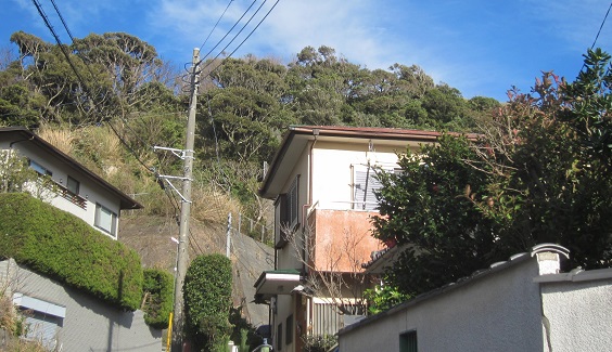 e0245404_15131993.jpg
