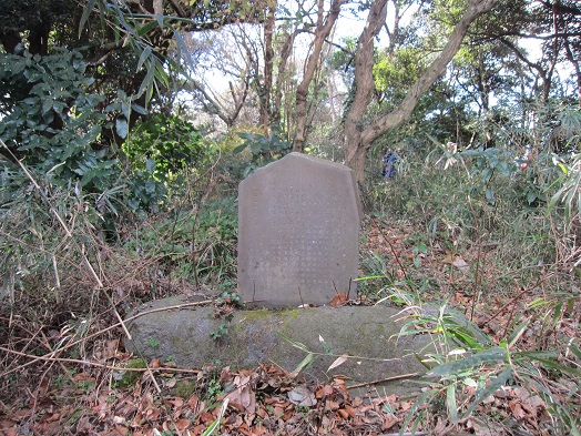 e0245404_3383478.jpg