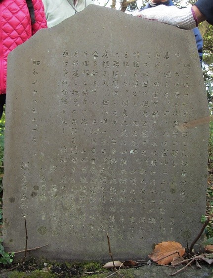 e0245404_3385492.jpg