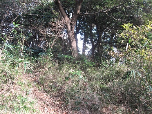 e0245404_338692.jpg