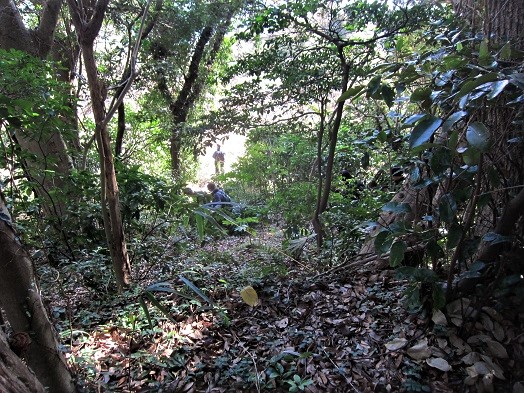 e0245404_3393942.jpg