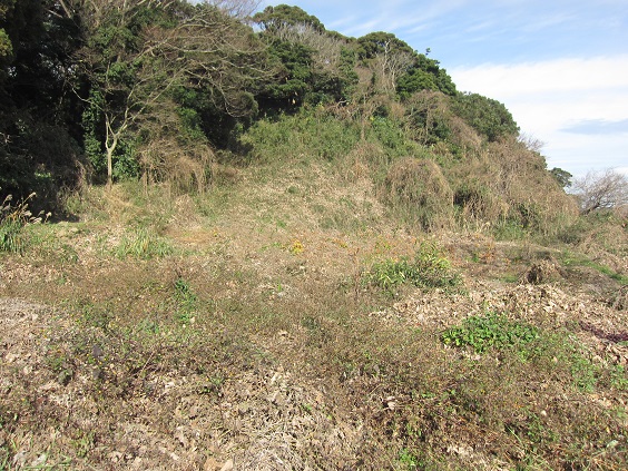 e0245404_3415499.jpg