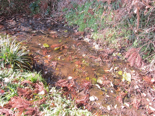 e0245404_3423240.jpg