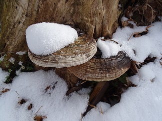f0360815_15170904.jpg