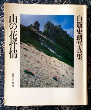 b0344816_21195916.jpeg