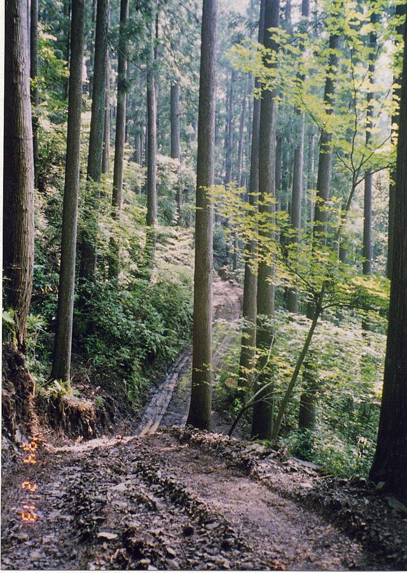 e0002820_22101781.jpg