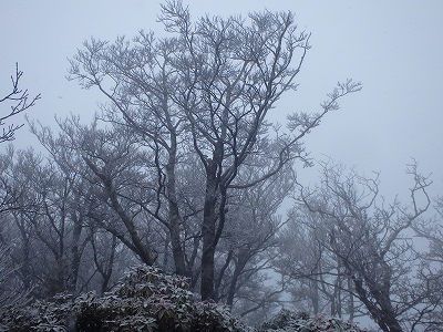 f0193521_10491799.jpg