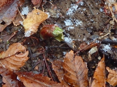 f0193521_10551877.jpg