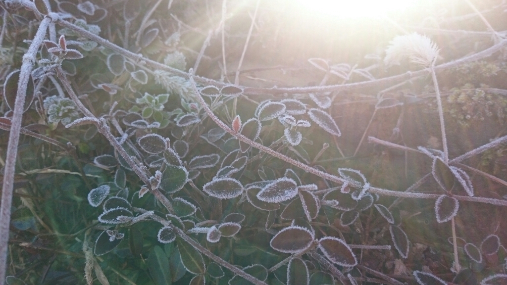 b0098228_10455340.jpg