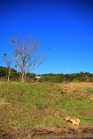 e0365036_17080312.jpg