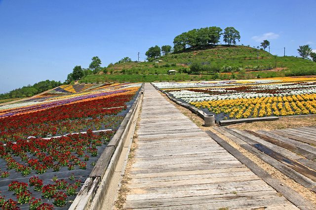 a0242438_20404300.jpg