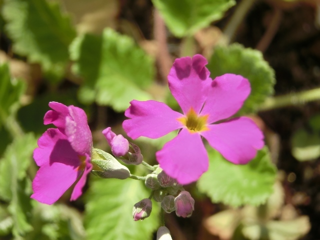 c0328559_20420555.jpg