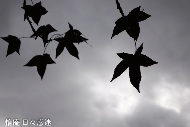 e0346064_18171952.gif