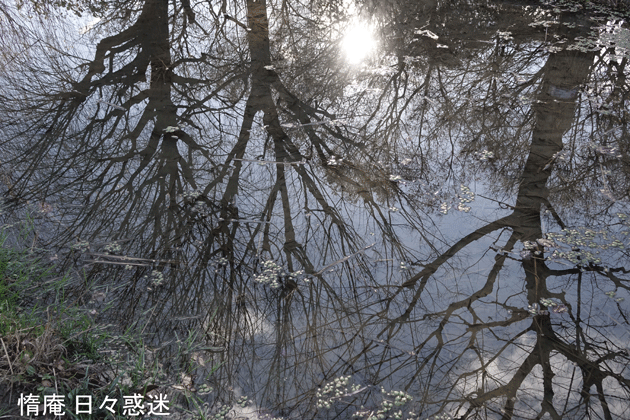 e0346064_18172164.gif