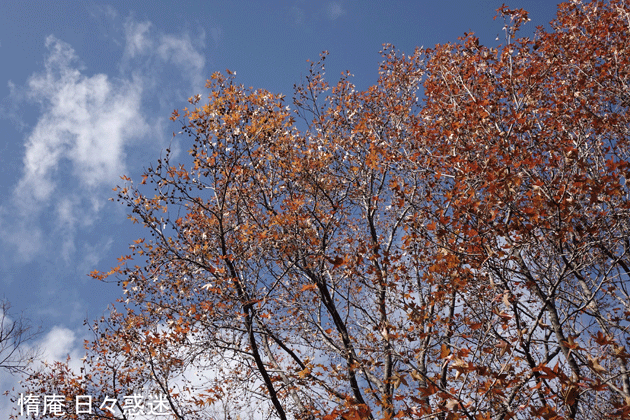 e0346064_18172191.gif